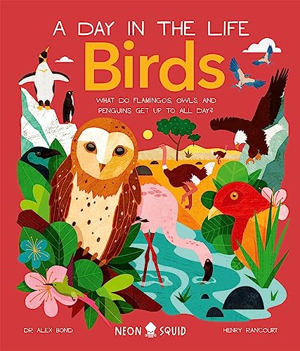 Stock image for Birds (A Day in the Life): What Do Flamingos, Owls, and Penguins Get Up To All Day? (UK Edition) for sale by Revaluation Books