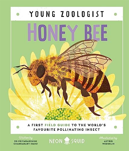 Beispielbild fr Honey Bee (Young Zoologist): A First Field Guide to the Worlds Favourite Pollinating Insect zum Verkauf von WeBuyBooks