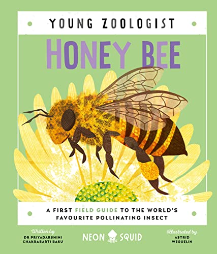 Stock image for Honey Bee (young Zoologist) for sale by GreatBookPrices