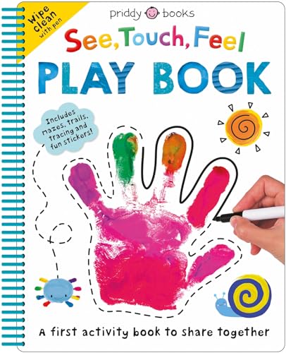 9781838993498: See, Touch, Feel: Play Book (See, Touch, Feel, 17)