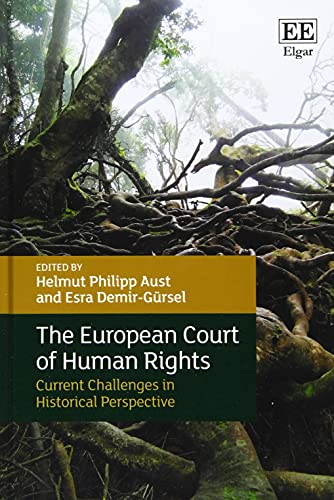 Stock image for The European Court of Human Rights Current Challenges in Historical Perspective for sale by PBShop.store UK