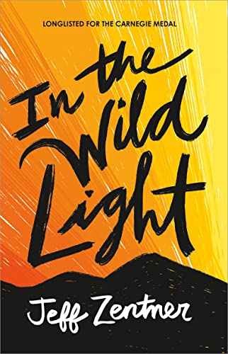 Stock image for In the Wild Light for sale by WorldofBooks