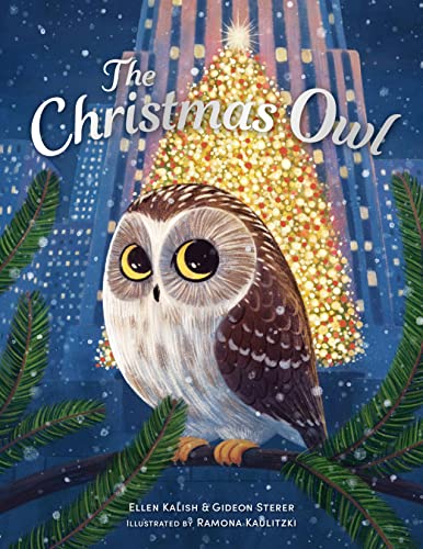 Beispielbild fr The Christmas Owl zum Verkauf von Blackwell's