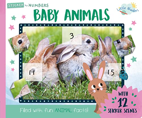 Imagen de archivo de LITTLE WONDERS STICKER BY NUMBER - BABY ANIMALS (Little Wonders Sticker by Numbers Book) a la venta por AwesomeBooks
