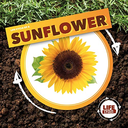 Stock image for Life Cycle of a Sunflower for sale by PBShop.store US