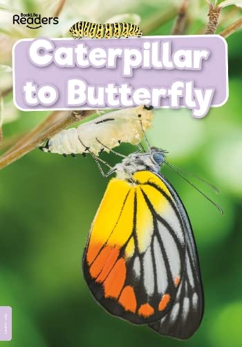 Beispielbild für Caterpillar to Butterfly zum Verkauf von Smartbuy