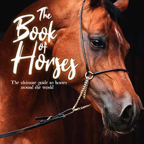 Imagen de archivo de The Book of Horses : The Ultimate Guide to Horses Around the World a la venta por Better World Books