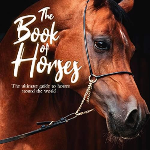 Stock image for The Book of Horses : The Ultimate Guide to Horses Around the World for sale by Better World Books