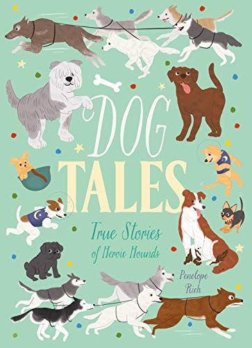 Imagen de archivo de Dog Tales: True Stories of Heroic Hounds a la venta por Red's Corner LLC