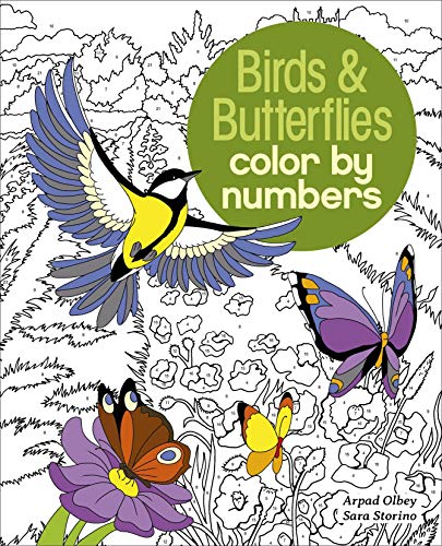 Stock image for Birds & Butterflies Color by Numbers (Sirius Color by Numbers Collection, 9) for sale by SecondSale