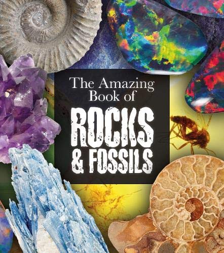 Beispielbild fr The Amazing Book of Rocks and Fossils (Amazing Books, 6) zum Verkauf von Hawking Books