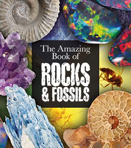 Stock image for The Amazing Book of Rocks and Fossils (Amazing Books, 6) for sale by Hawking Books