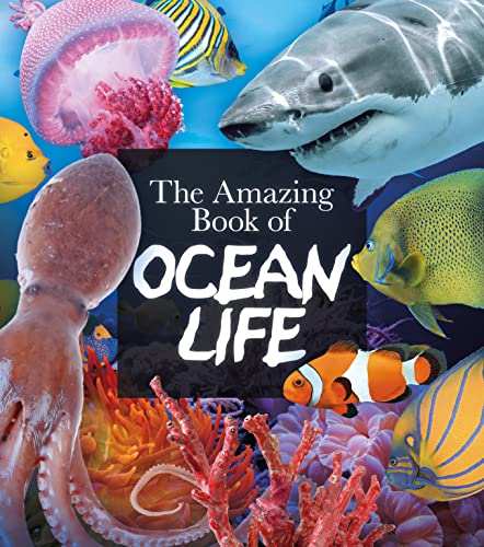 Imagen de archivo de The Amazing Book of Ocean Life (Amazing Books, 7) a la venta por Once Upon A Time Books