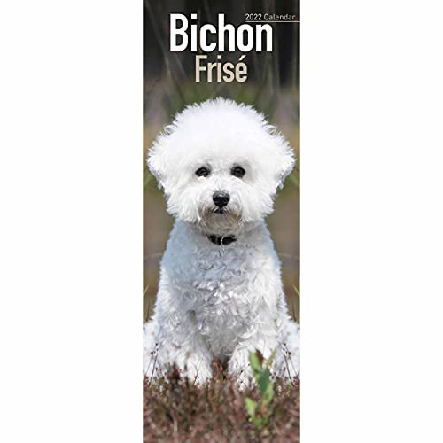 Beispielbild fr Bichon Frise 2022 Slim Calendar zum Verkauf von GreatBookPrices