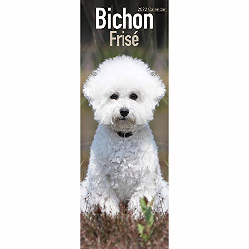 Imagen de archivo de Bichon Frise 2022 Slim Calendar a la venta por GreatBookPrices