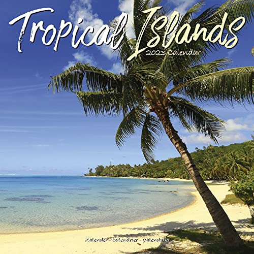 Stock image for Beaches Calendar - Calendars 2022 - 2023 Wall Calendars - Sunset Calendar - Photo Calendar - Tropical Islands 16 Month Wall Calendar by Avonside (English and German Edition) for sale by GF Books, Inc.