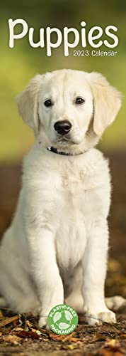 9781839418914: Puppies Slim Calendar 2023 | Dog Breed Slimline Calendar - 12 Month