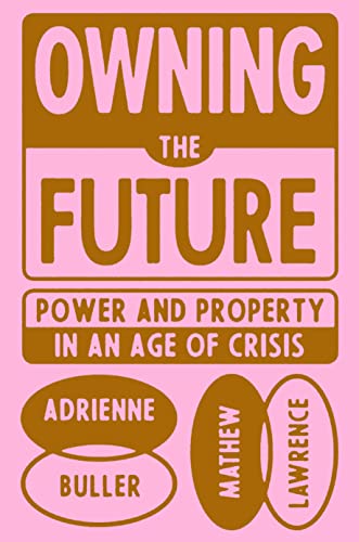 Stock image for Owning the Future: Power and Property in an Age of Crisis for sale by Bellwetherbooks