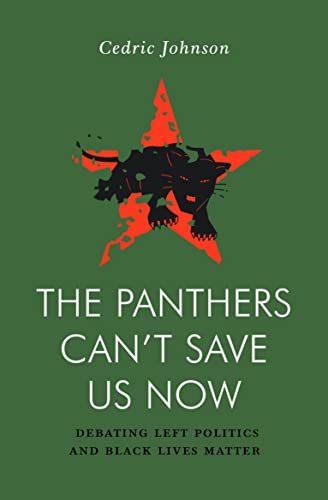 Beispielbild fr The Panthers Can't Save Us Now: Debating Left Politics and Black Lives Matter zum Verkauf von Open Books West Loop