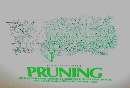 Beispielbild fr Pruning (RHS Encyclopedia of Practical Gardening) zum Verkauf von Wonder Book