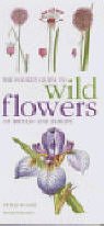 9781840002713: The Pocket Guide to Wild Flowers of Britain and Europe: Mitchell Beazley Pocket Nature Guides