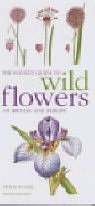 9781840002713: Mitchell Beazley Pocket Guide to Wild Flowers