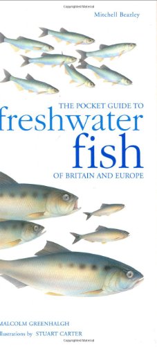 Beispielbild fr The Pocket Guide to Freshwater Fish of Britain and Europe: Mitchell Beazley Pocket Nature Guide zum Verkauf von WorldofBooks