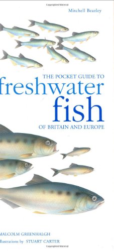 9781840003925: The Pocket Guide to Freshwater Fish of Britain and Europe: Mitchell Beazley Pocket Nature Guide