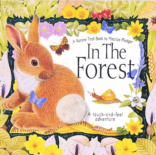 Imagen de archivo de In the Forest a la venta por Goldstone Books