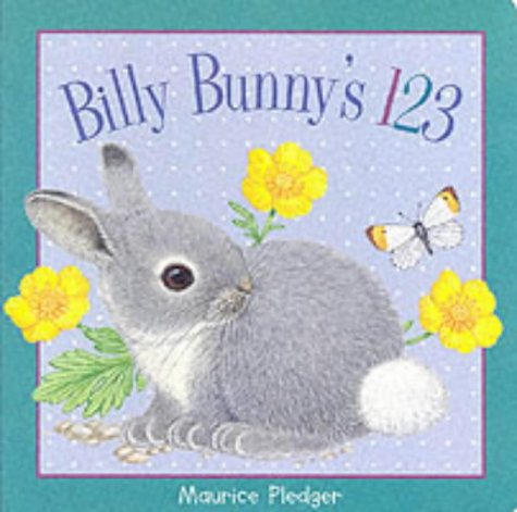 Stock image for Billy Bunny's 123 (Maurice Pledger Board Books) for sale by WorldofBooks