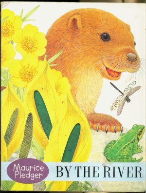 Beispielbild fr Oscar Otter - By the River (Touch & Feel Board Books) zum Verkauf von AwesomeBooks