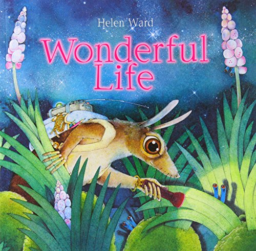 Beispielbild fr Wonderful Life zum Verkauf von WorldofBooks