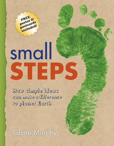 9781840113631: SMALL STEPS