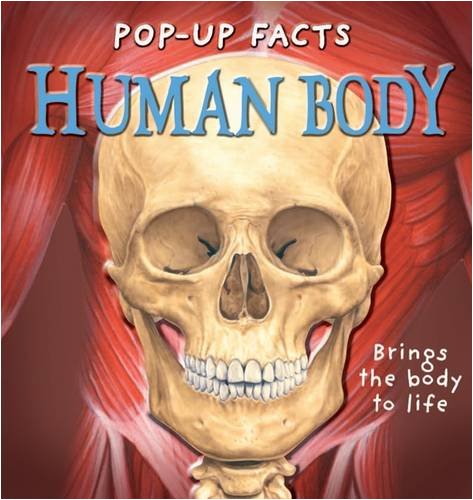 Beispielbild fr Pop-up Facts Human Body zum Verkauf von Hawking Books