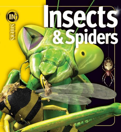 Imagen de archivo de Insects & Spiders. Noel Tait a la venta por ThriftBooks-Atlanta