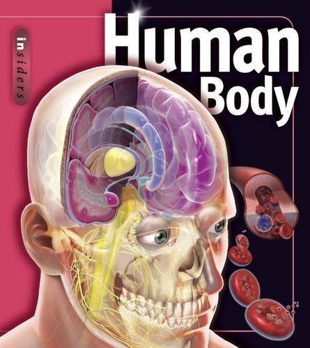 Beispielbild fr Human Body (Insiders Series) zum Verkauf von WorldofBooks