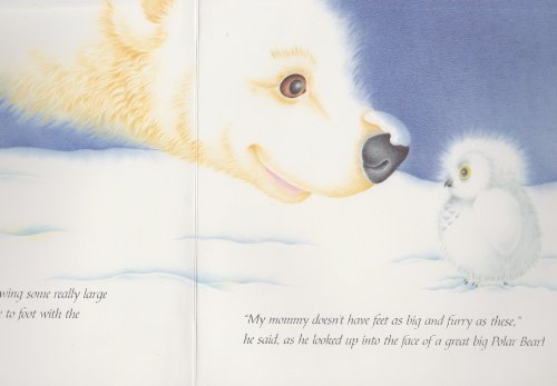 Stock image for Little Owl in the Snow for sale by ThriftBooks-Dallas