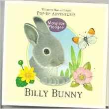 Stock image for Billy Bunny for sale by WorldofBooks