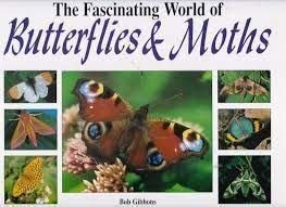 Beispielbild fr The Fascinating World of Butterflies and Moths zum Verkauf von WorldofBooks