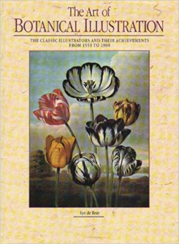 9781840130713: ART OF BOTANICAL ILLUSTR. 498