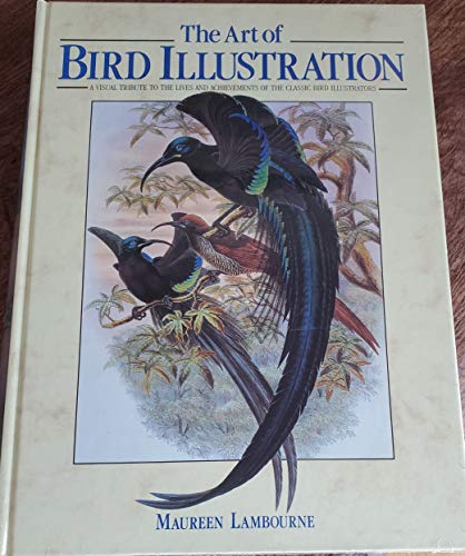Imagen de archivo de Art of Bird Illustration a la venta por A Squared Books (Don Dewhirst)