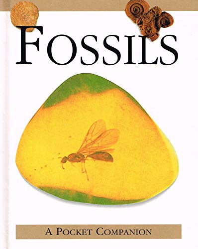Stock image for Fossils (Pocket Guides) for sale by AwesomeBooks