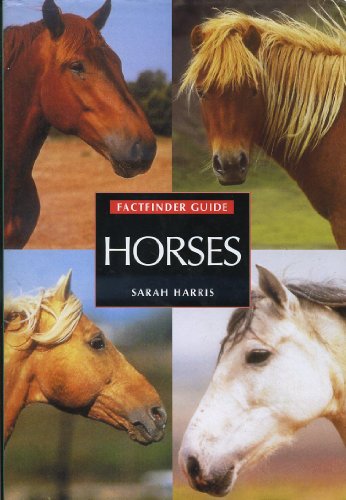 Stock image for Horses (Factfinder Guide) for sale by TrakaBook