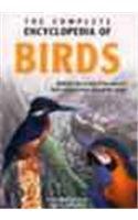 Beispielbild fr The Complete Encyclopedia of Birds zum Verkauf von WorldofBooks