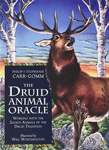 Imagen de archivo de Druid Animal Oracle a la venta por Better World Books