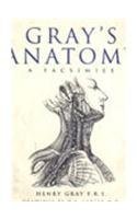 Beispielbild fr Gray's Anatomy : A Facsimile zum Verkauf von Better World Books