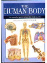 Beispielbild fr The Human Body: An Essential Guide to How the Body Works (Expert Guide) zum Verkauf von Zoom Books Company