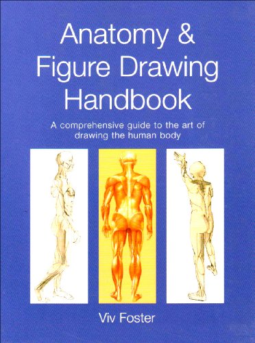 9781840137088: Anatomy & Figure Drawing Handbook