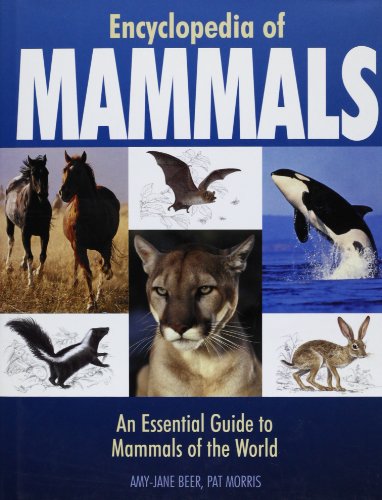9781840137965: Encyclopedia of Mammals: An Essential Guide to the Mammals of the World