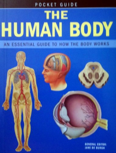 Beispielbild fr The Human Body: An Essential Guide to How the Body Works (Pocket Guides) zum Verkauf von WorldofBooks